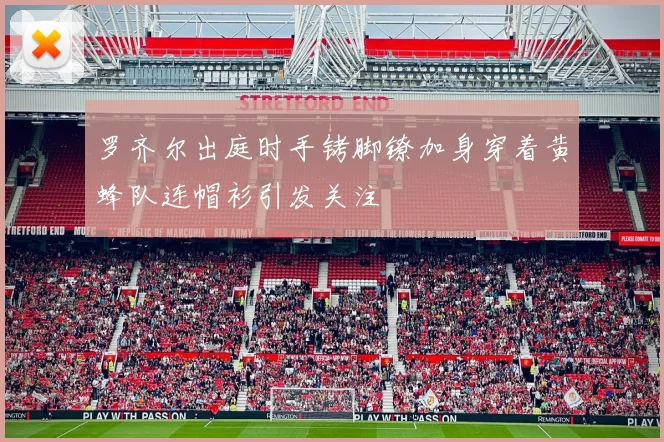 罗齐尔出庭时手铐脚镣加身穿着黄蜂队连帽衫引发关注