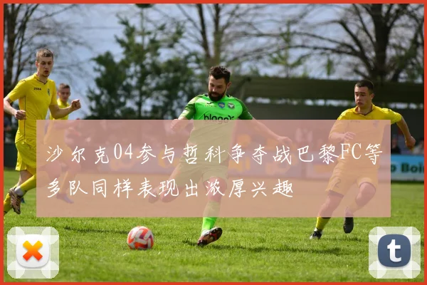 沙尔克04参与哲科争夺战巴黎FC等多队同样表现出浓厚兴趣