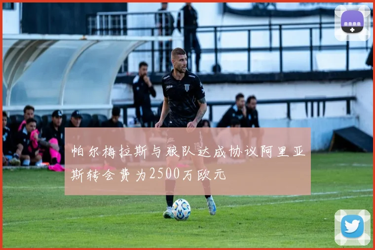 帕尔梅拉斯与狼队达成协议阿里亚斯转会费为2500万欧元